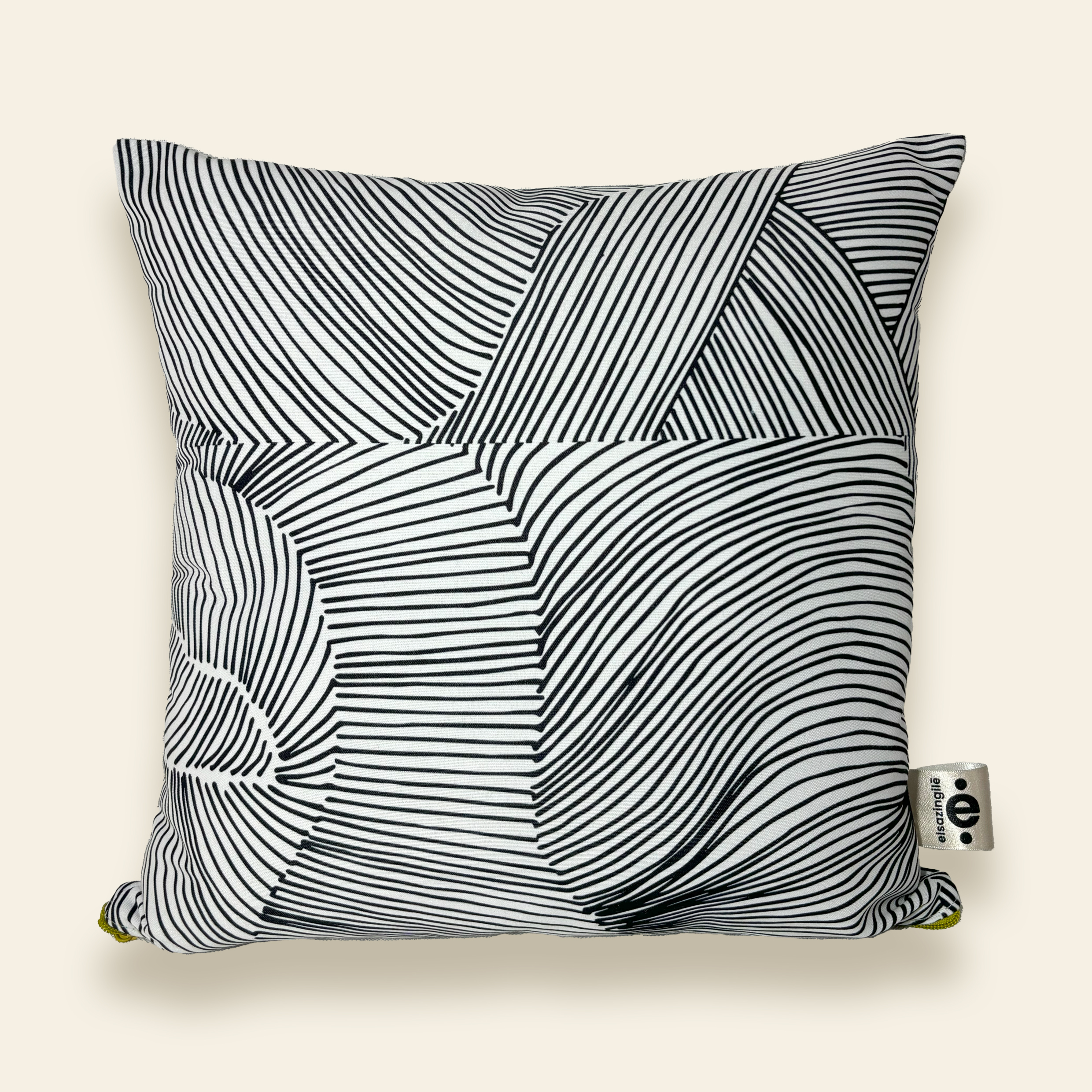 Coussin Ray