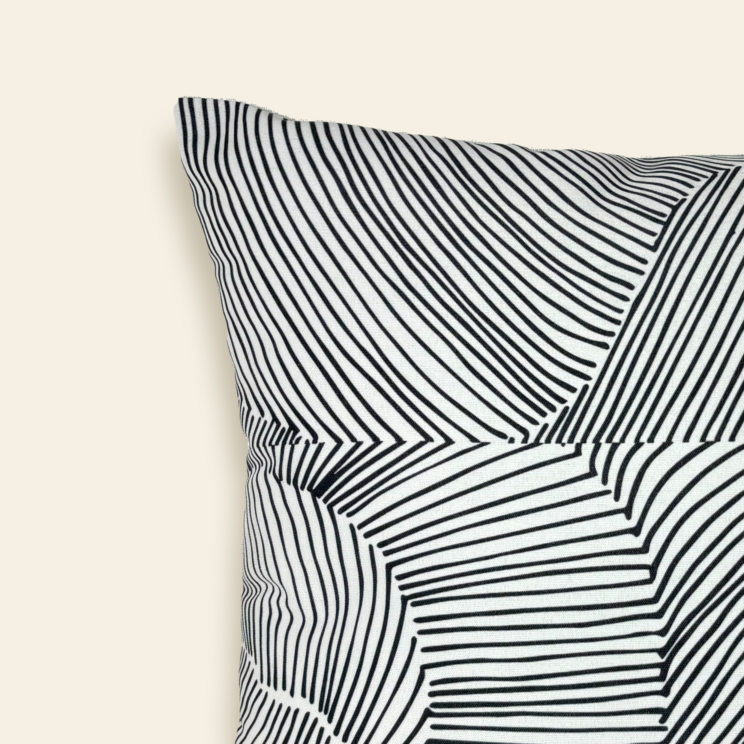 Coussin Ray