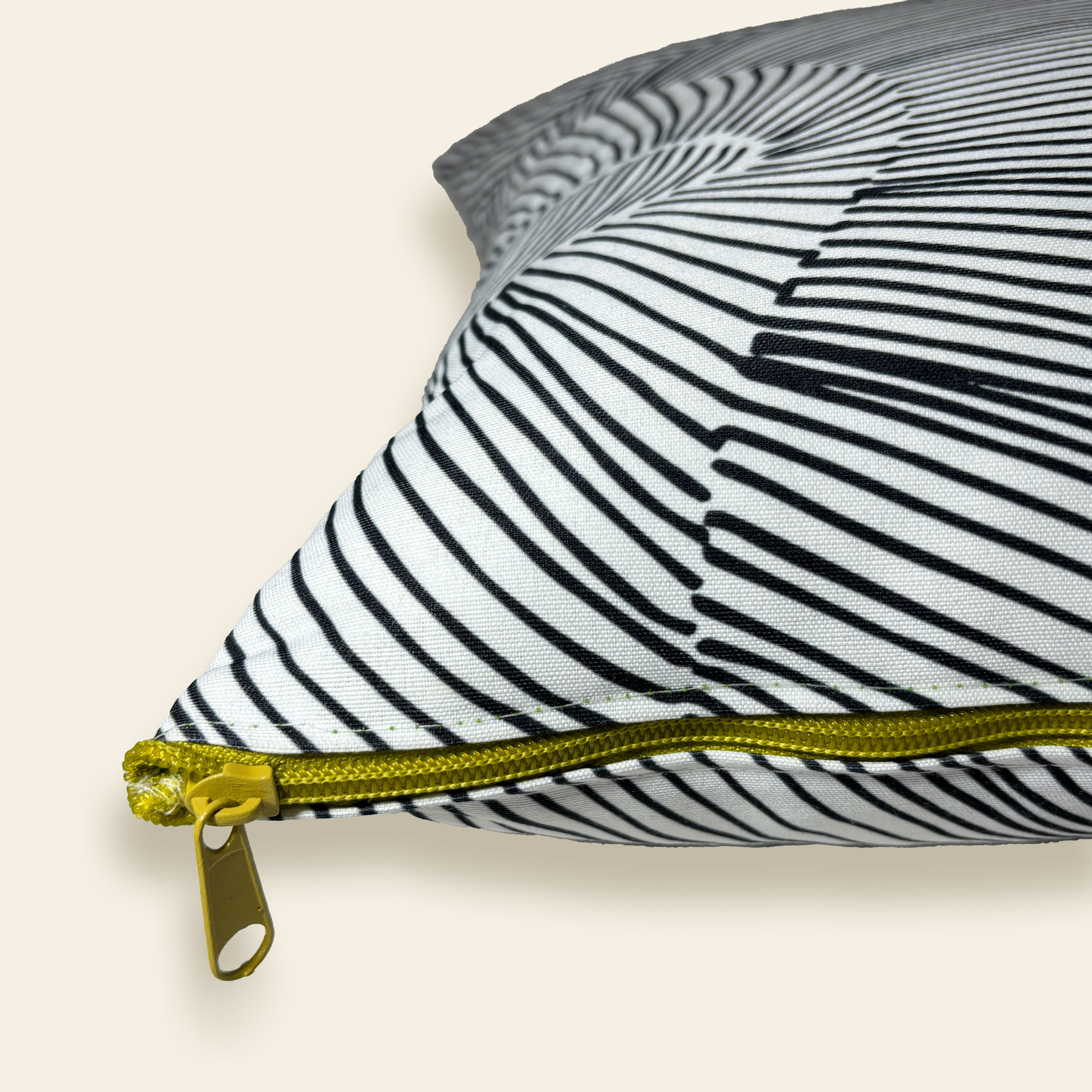 Coussin Ray