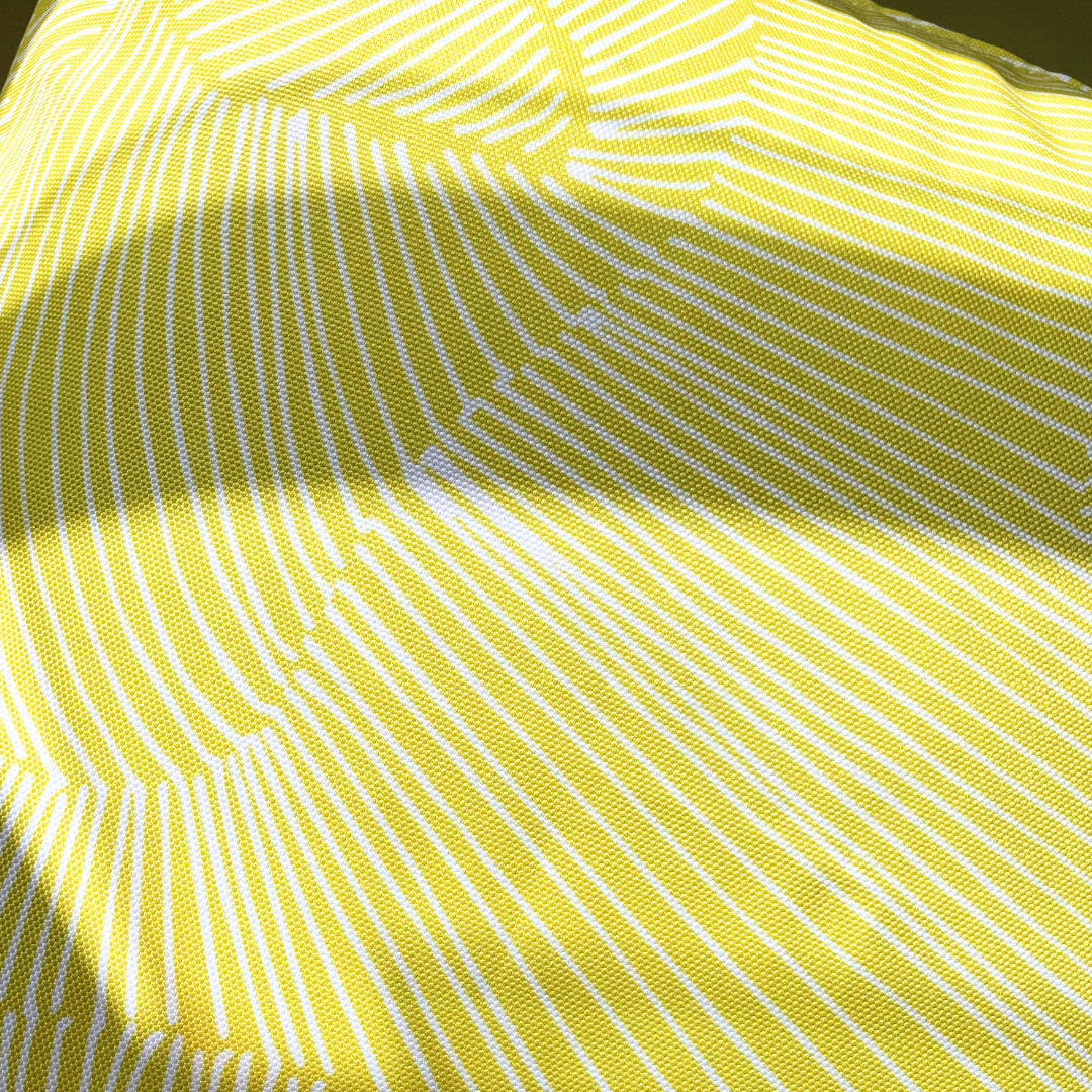 Coussin Ray Jaune