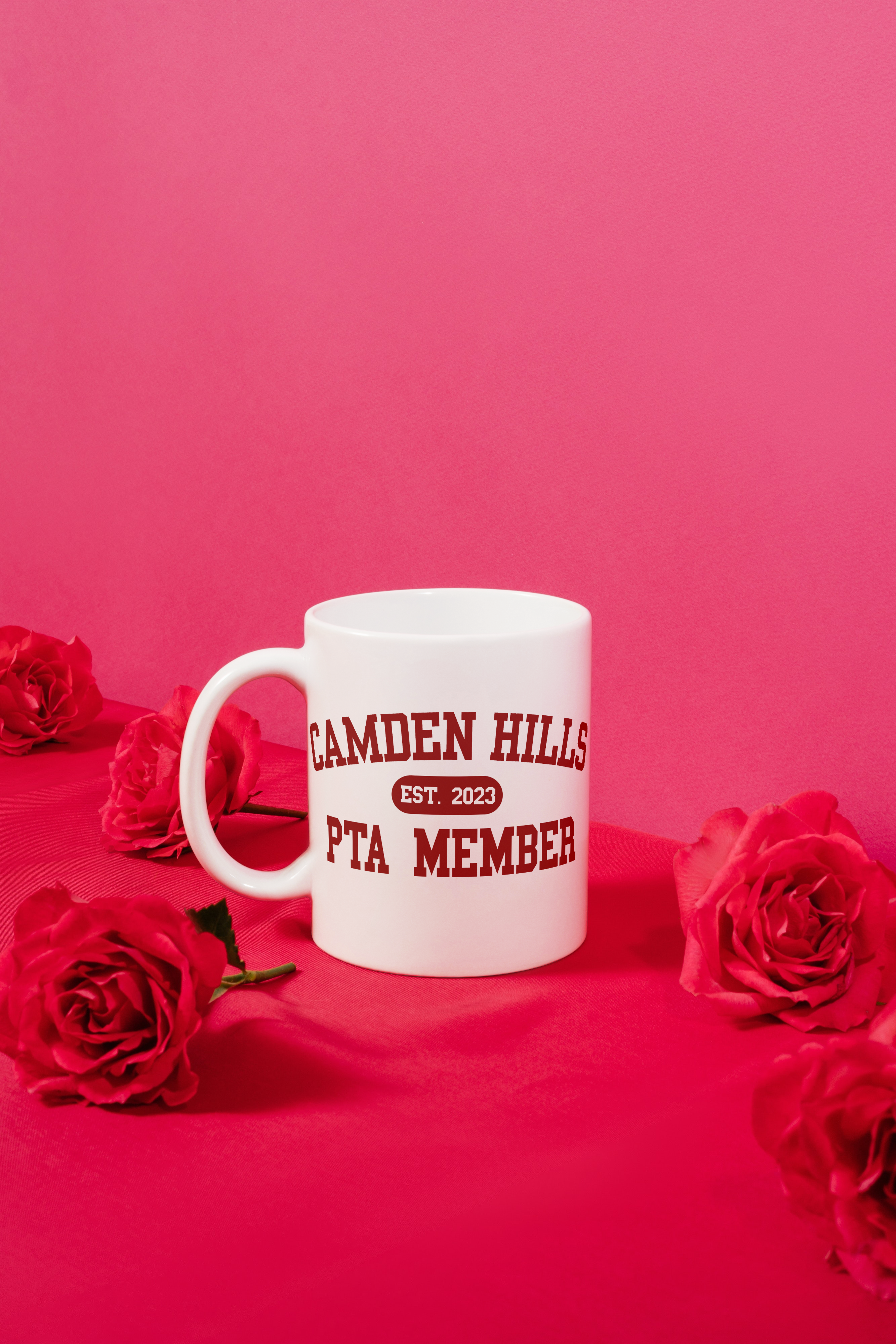 Camden Hills Coffee Mug