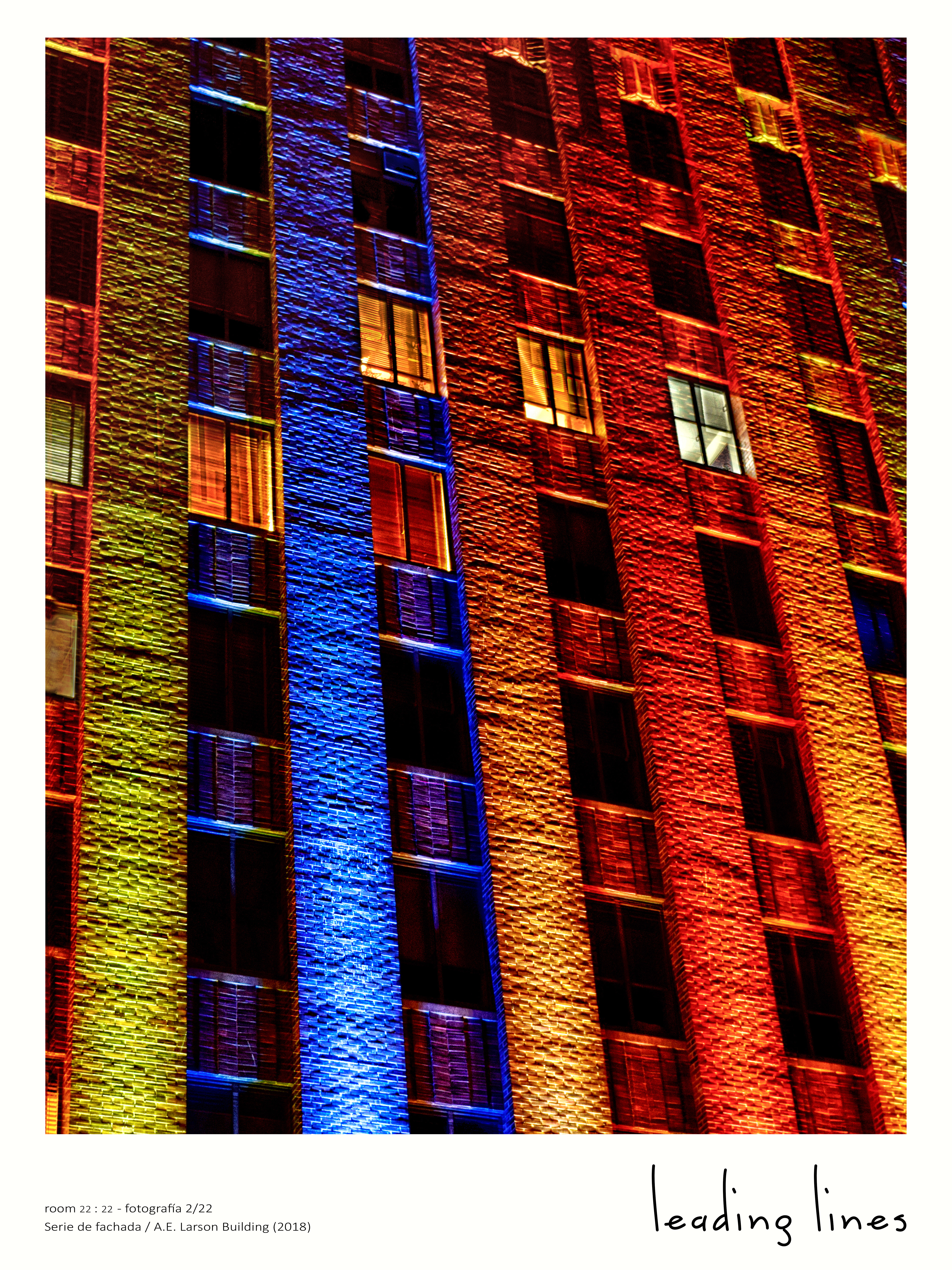 "Leading Lines" Photo Print