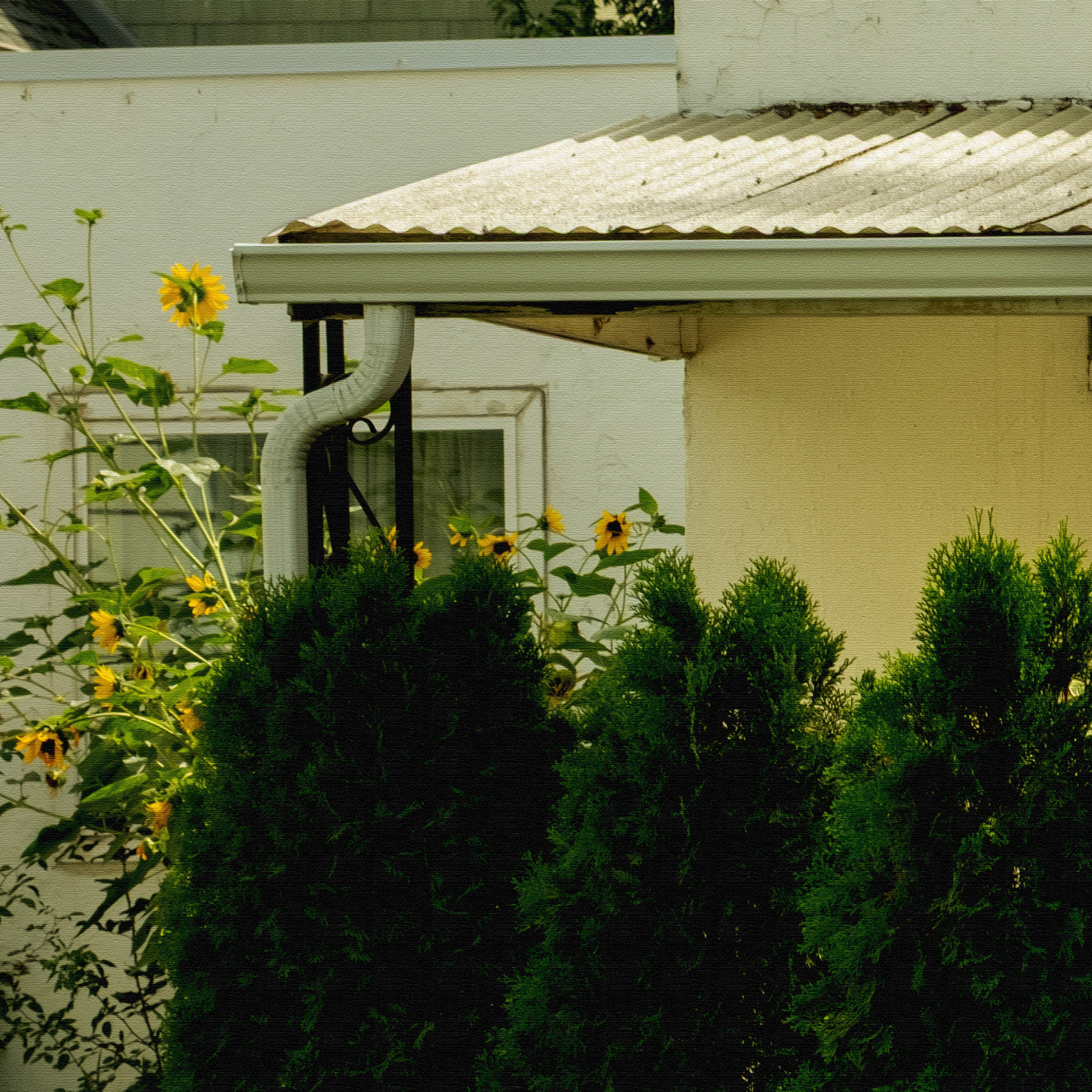 Where the Pavement Softens — Framed Work, 1/1