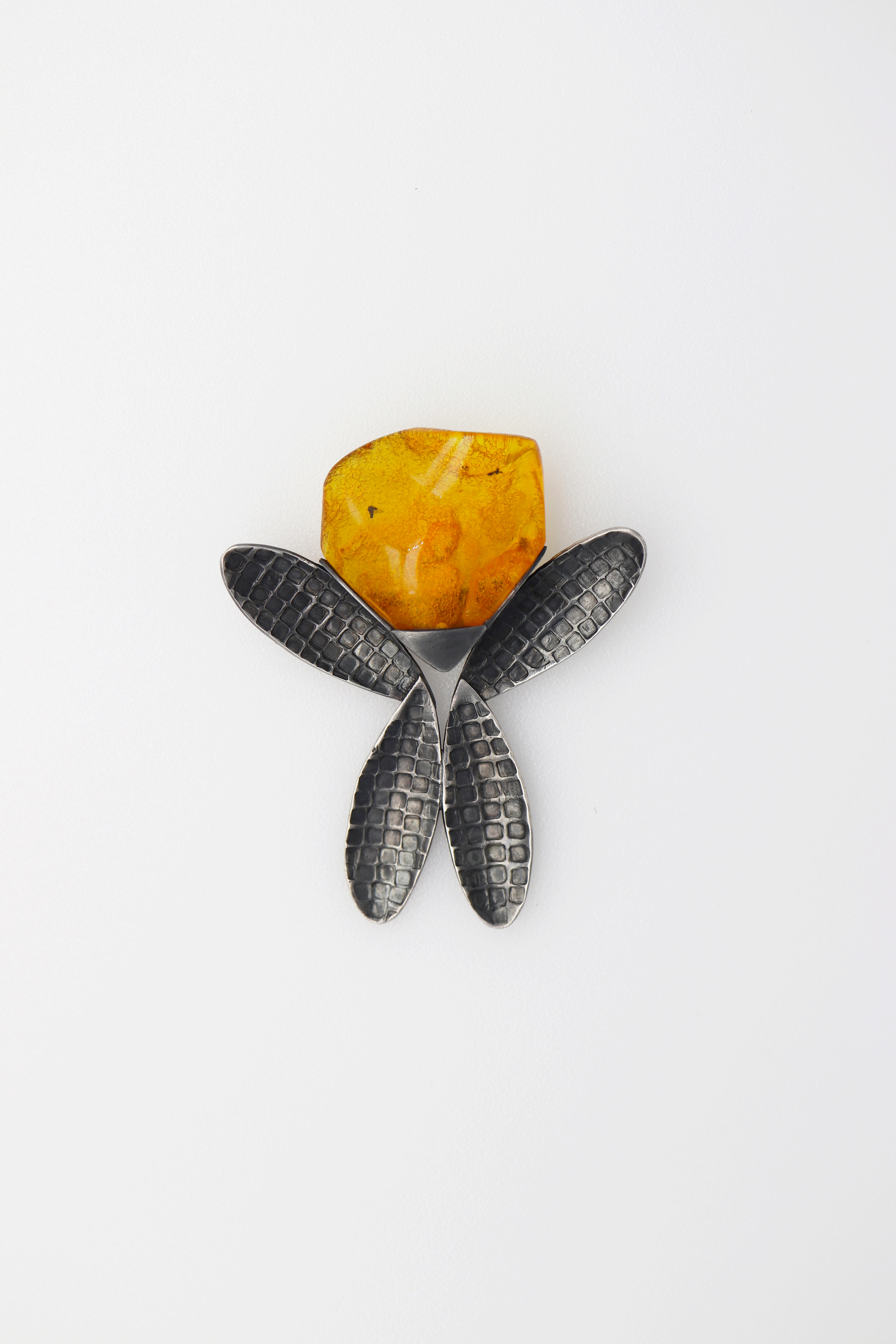 Segė su skaidriu gintaru