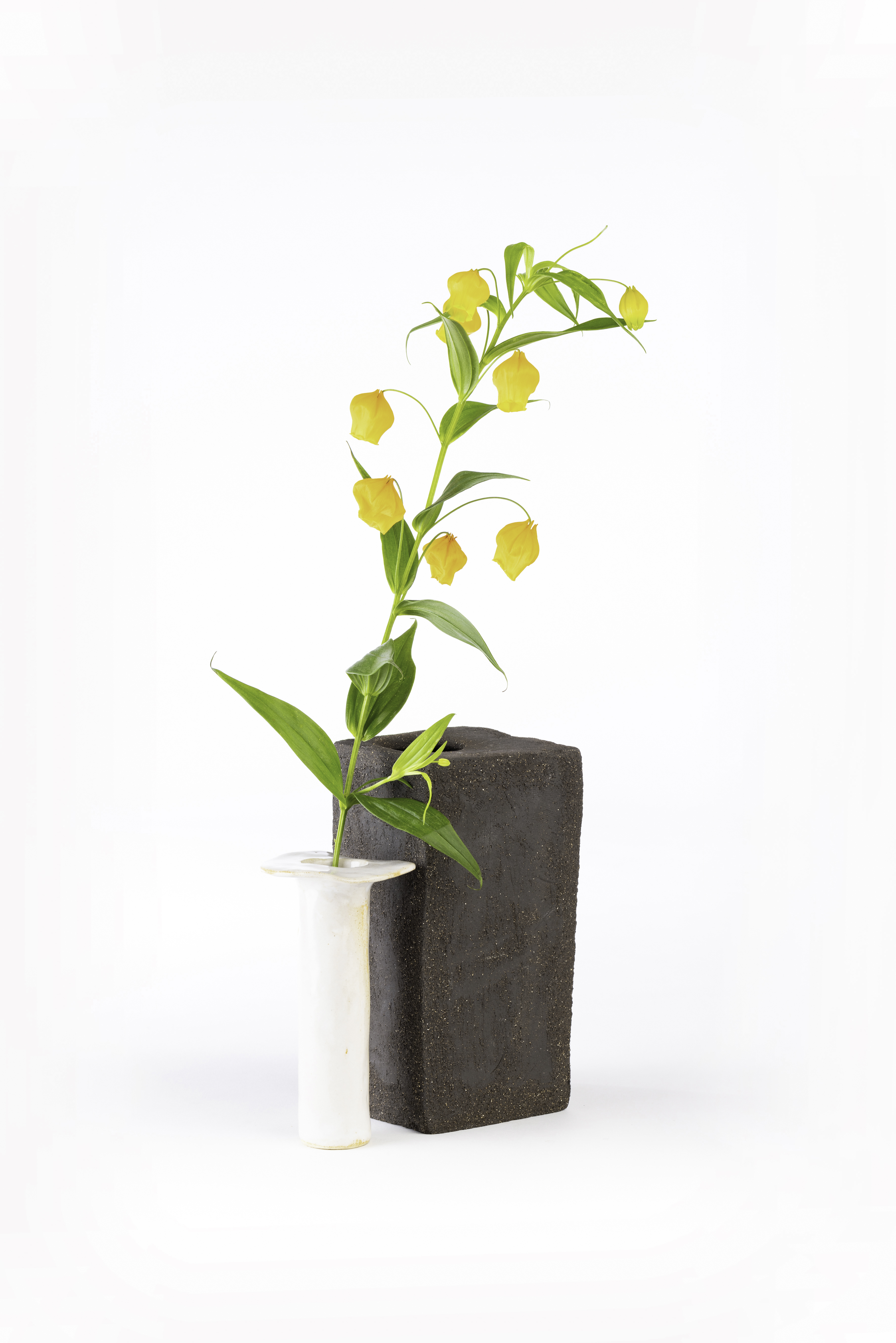Vase noir