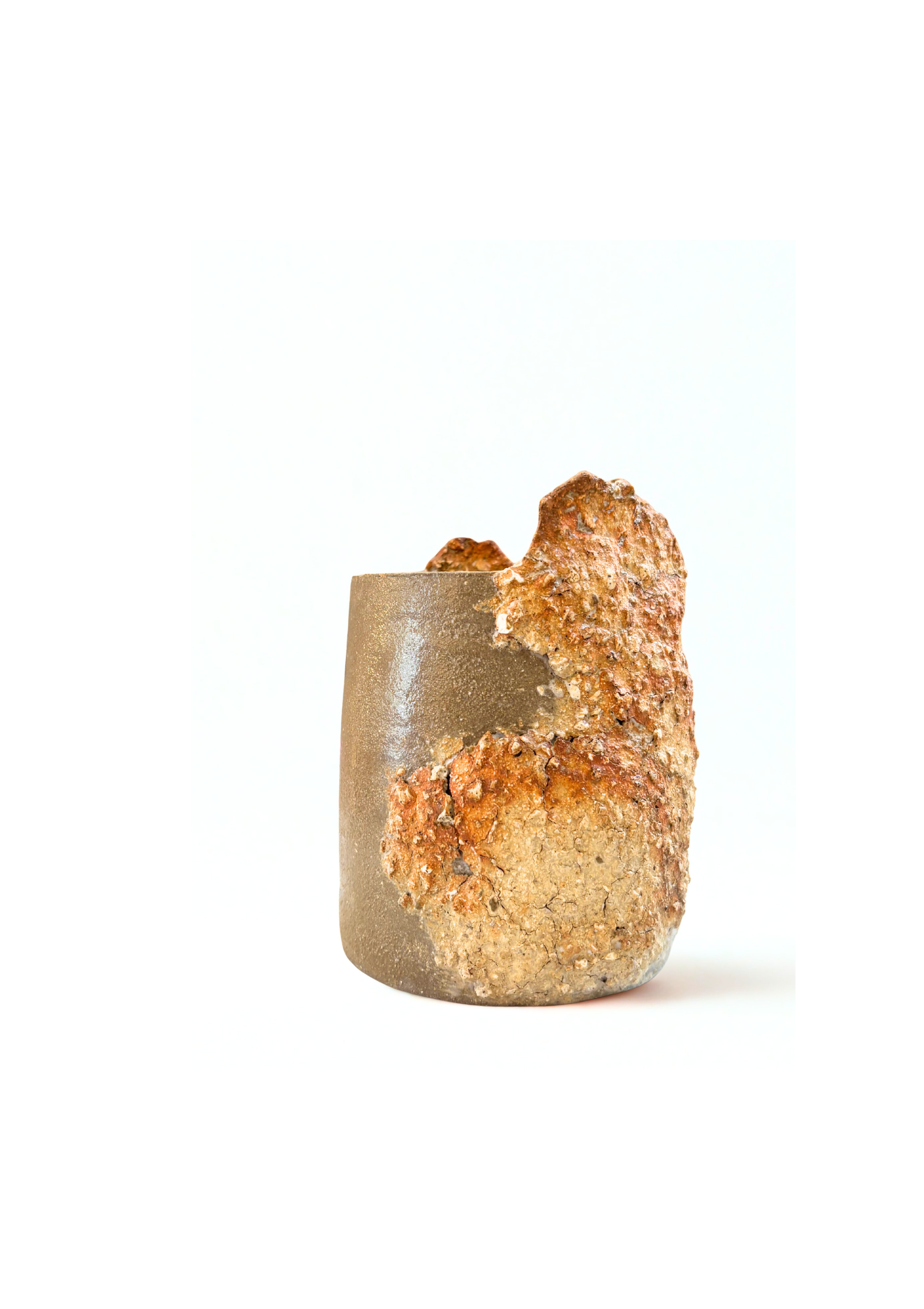 Vase boréal