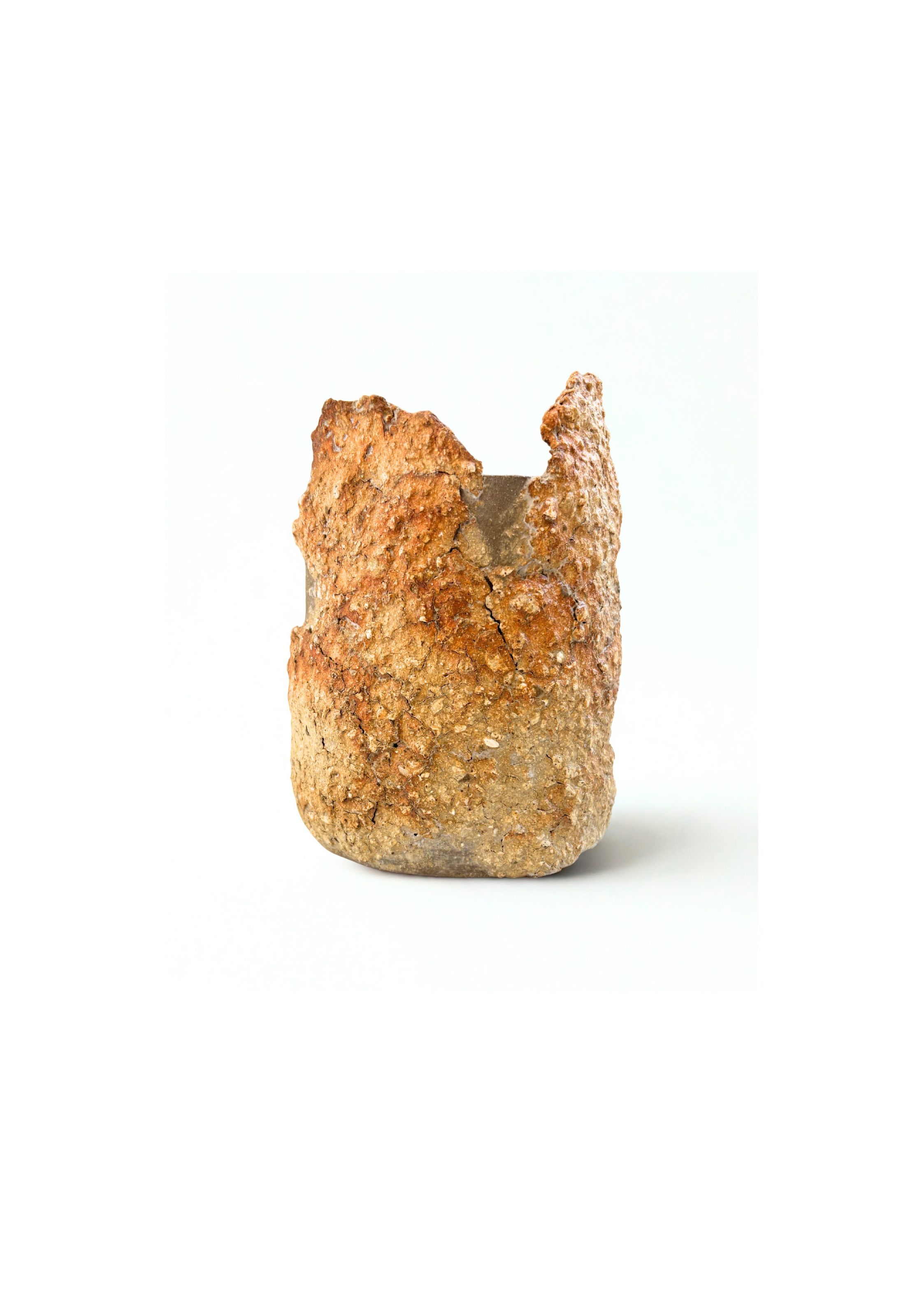 Vase boréal