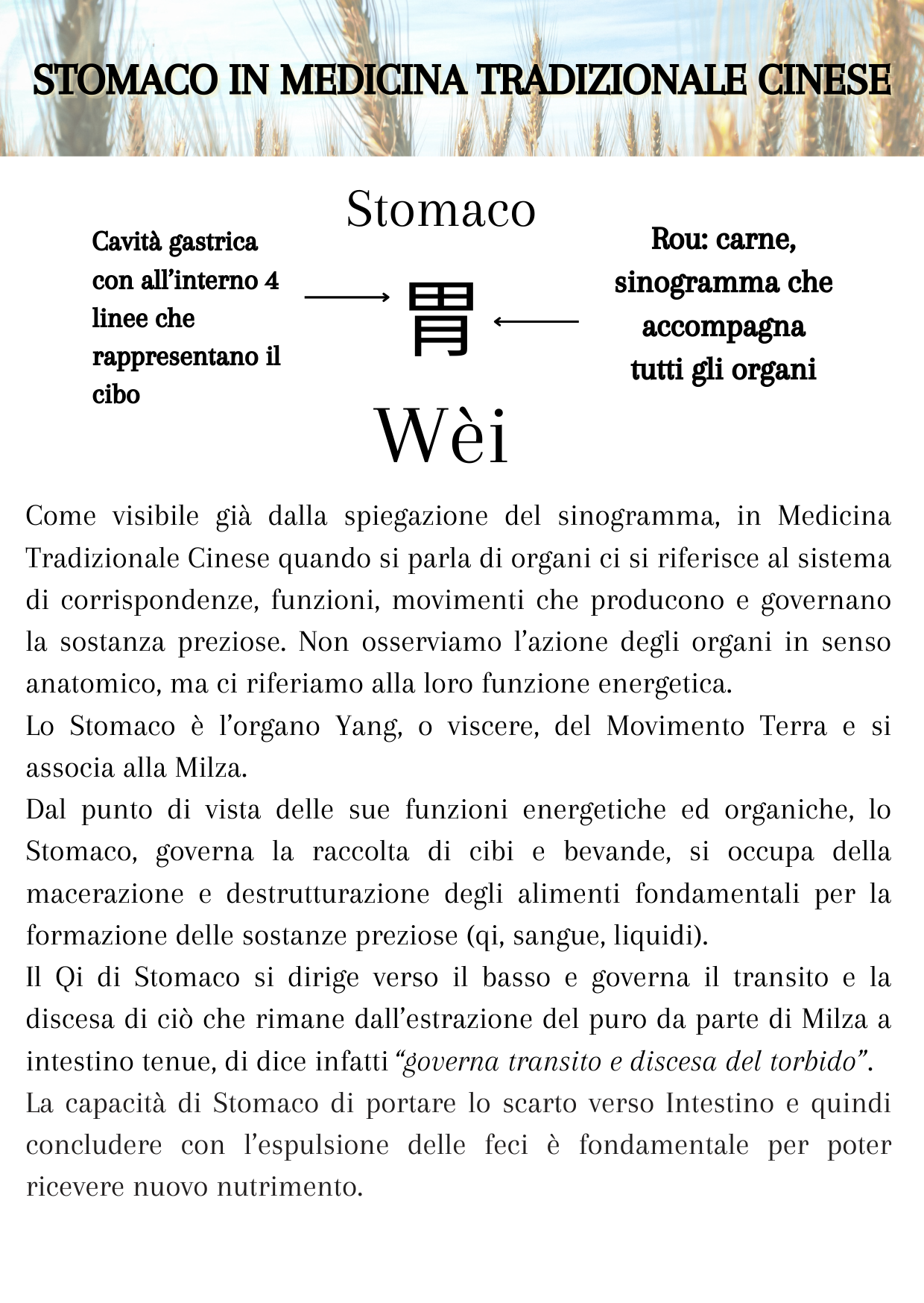 IL BENESSERE DI STOMACO