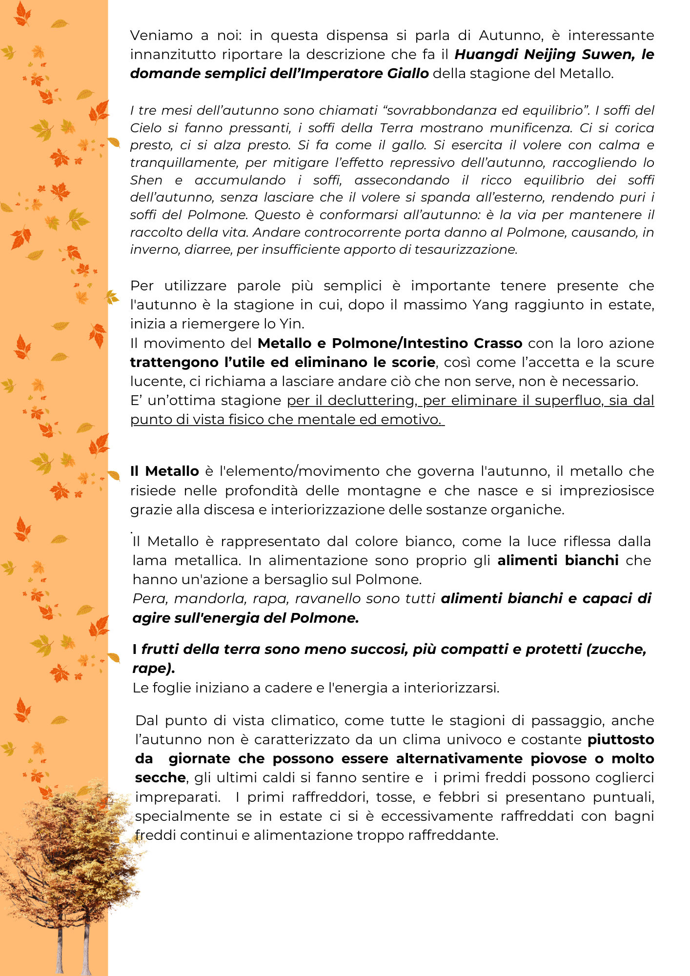 L'Autunno e l'energia del Metallo