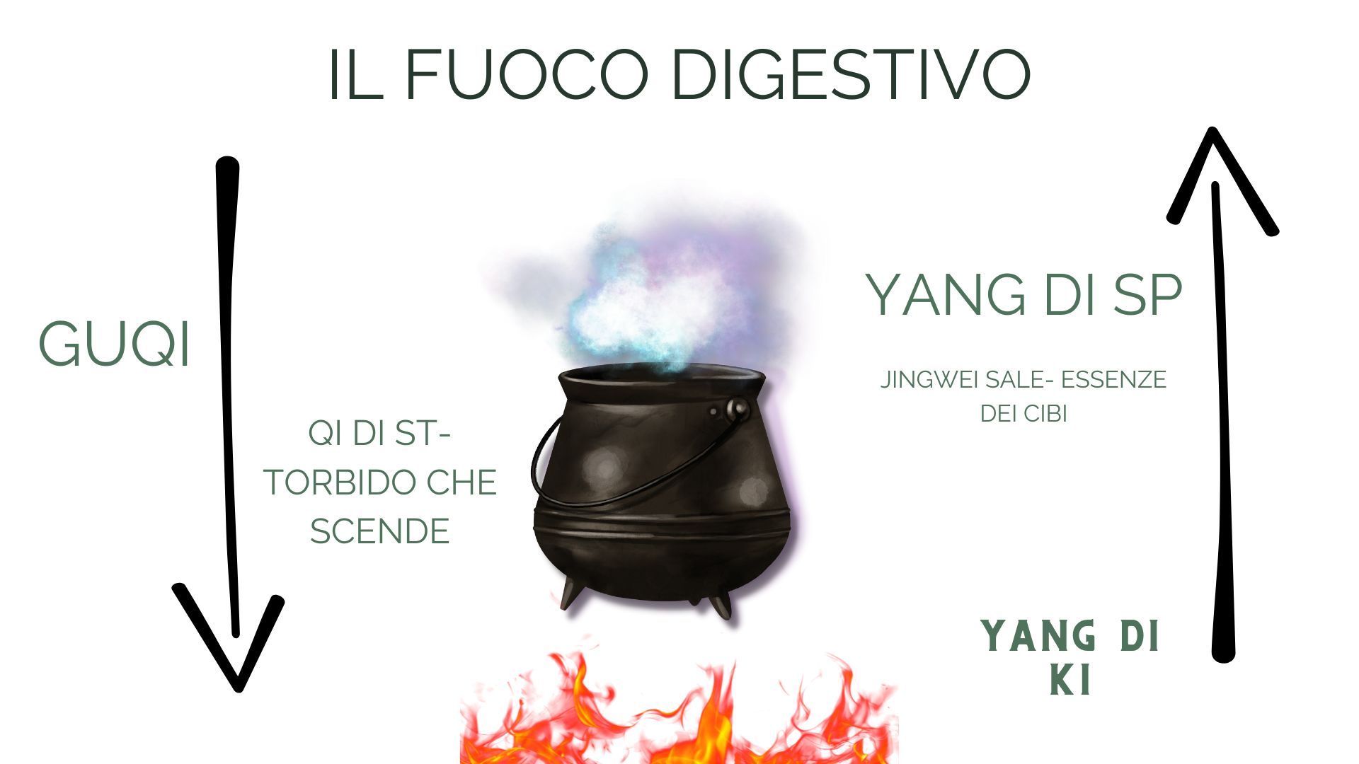 Webinar Benessere digestivo