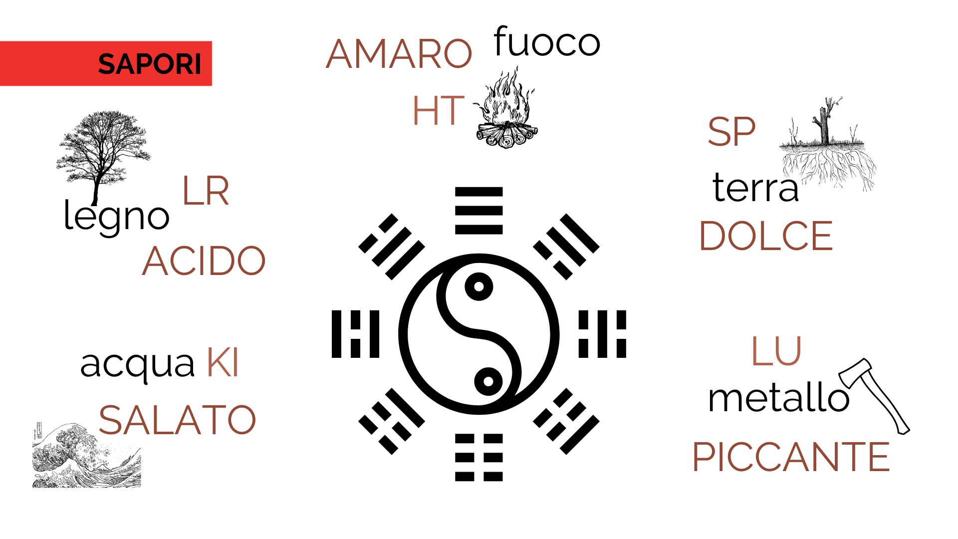 Webinar Benessere digestivo