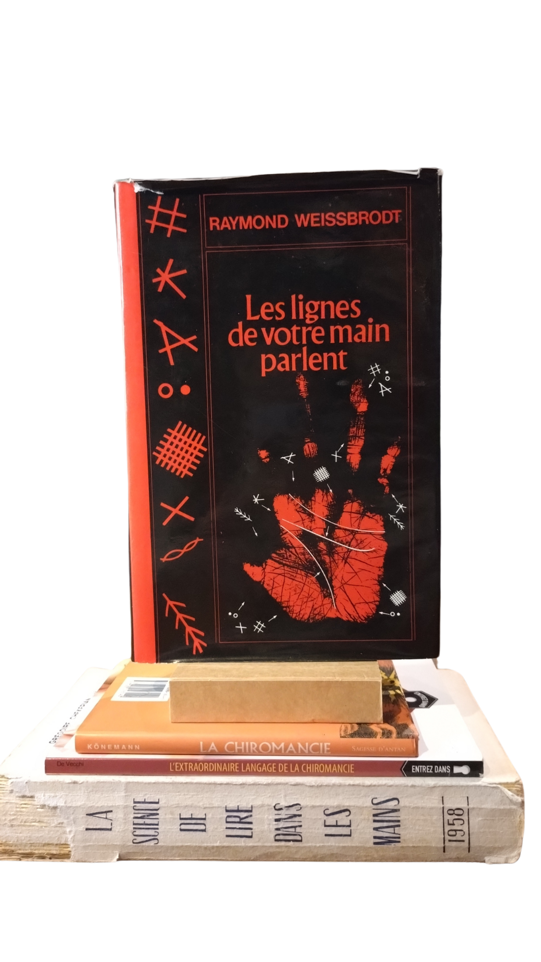 Les lignes de votre main parlent