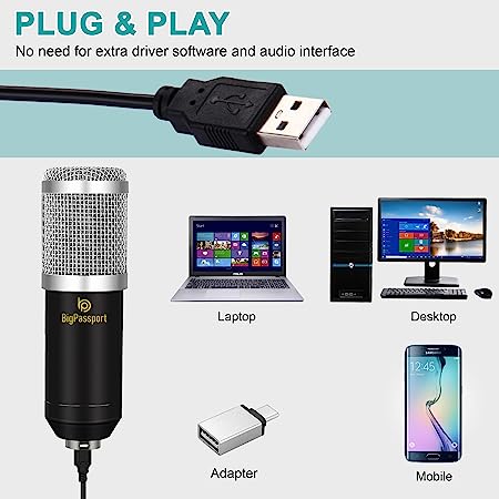 BigPassport Cardioid Microphone with Boom Arm (Pro-Sound_M800B)