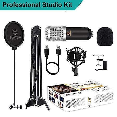 BigPassport Cardioid Microphone with Boom Arm (Pro-Sound_M800B)