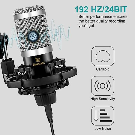 BigPassport Cardioid Microphone with Boom Arm (Pro-Sound_M800B)