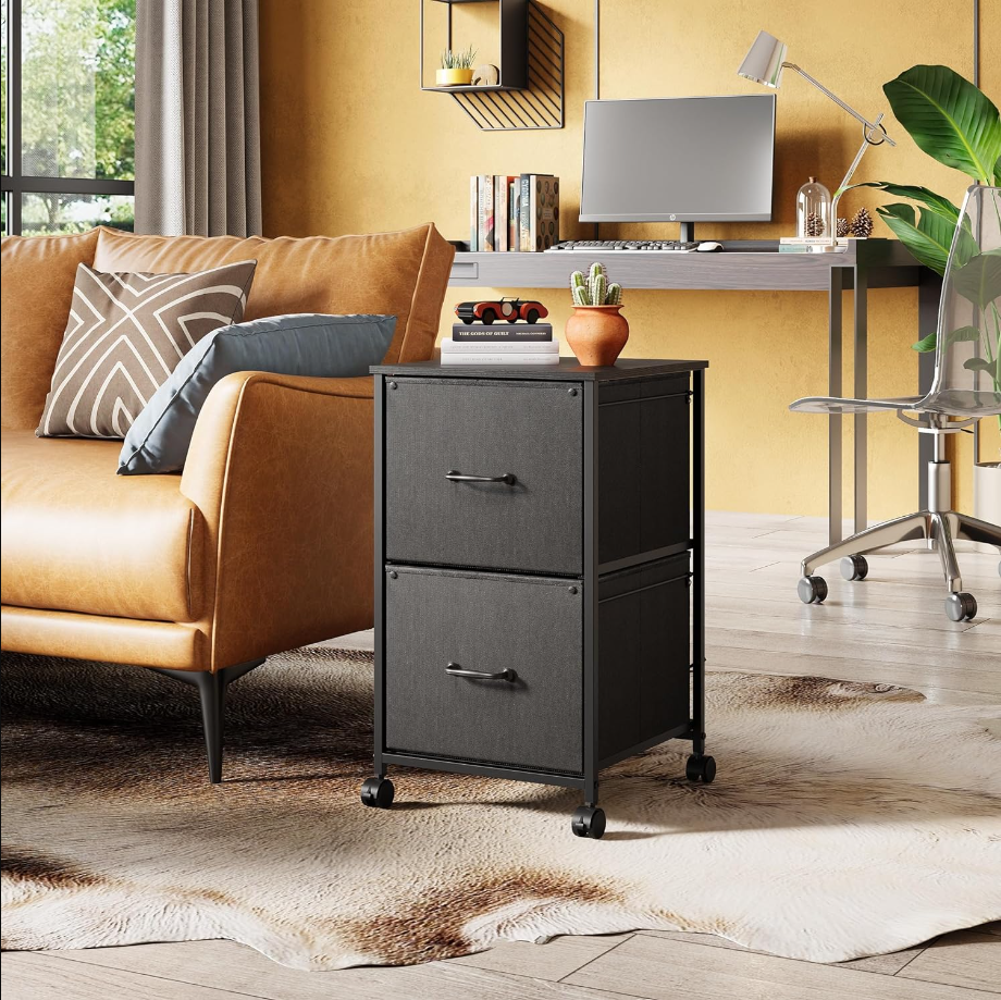 2 Drawer Mobile File Cabinet, Rolling Printer Stand, Fabric Vertical Filing Cabinet fits A4 or Letter Size for Home Office, Black