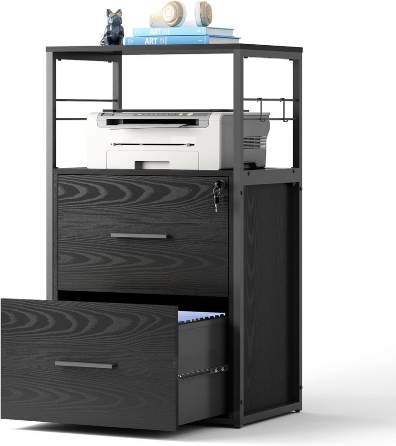 2 Drawer Lateral File Cabinet with Lock, Filing Cabinet fits Letter/Legal/A4 Size, Large Printer Stand with Storage Shelves for Home Office, Black