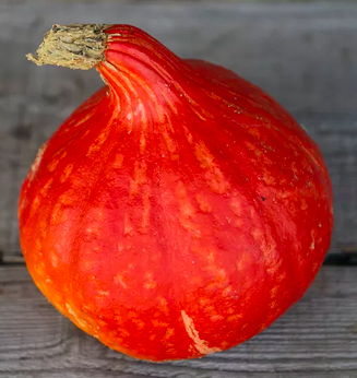 'UCHIKI KURI' alias 'KURI ROUGE'