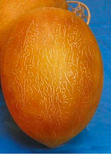'ZVABA'
