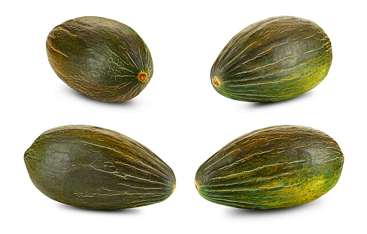 'TENDRAL' alias 'TENDRAL VALENCIANO', 'TENDRAL VERDE', 'TENDRAL NEGRO TARDO', 'VERDE DA INVERNO', 'VERT OLIVE D'HIVER', 'ESPAGNOLE D'HIVER', 'VERT DE NOËL' 
