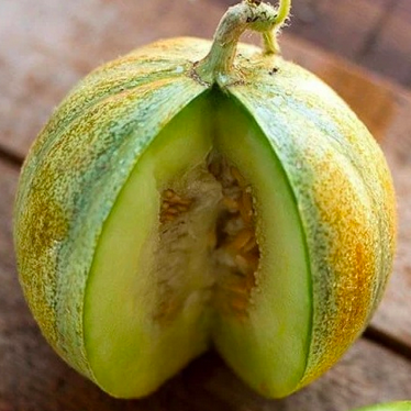 'OGEN' alias 'HA'OGEN' et 'ISRAEL MELON'