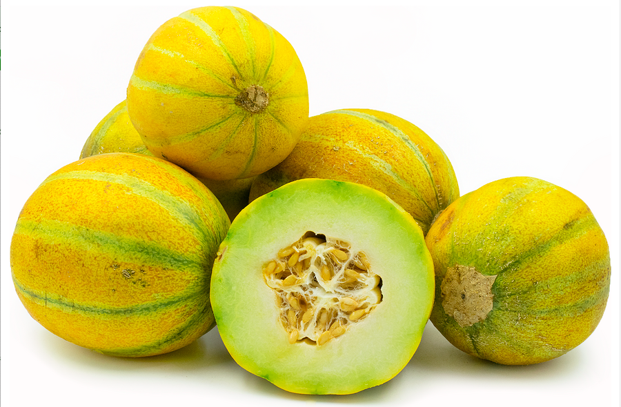 'OGEN' alias 'HA'OGEN' et 'ISRAEL MELON'