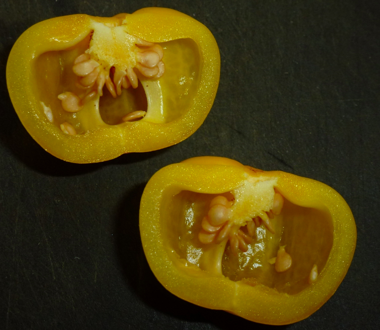 AJI DULCE AMARILLO