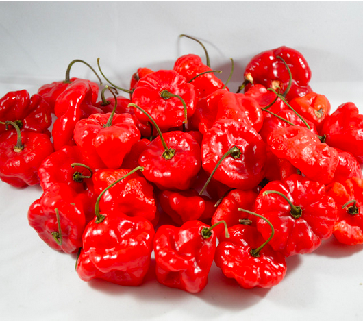 AJI DULCE PUERTO RICO