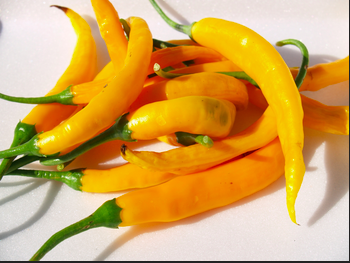 AJI GOLDEN