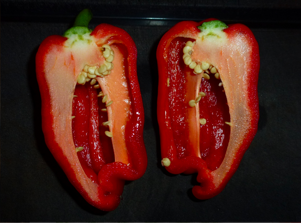 AJI MONAGRE