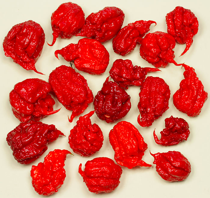 CAROLINA REAPER