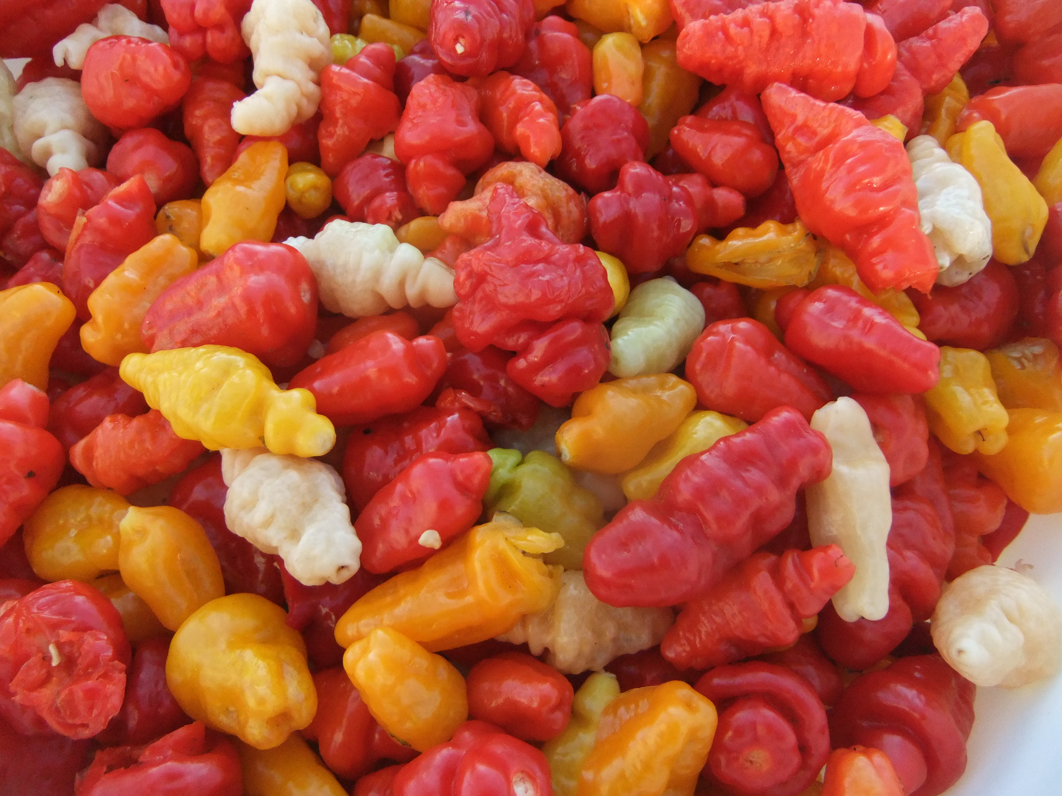 FATALI Mix