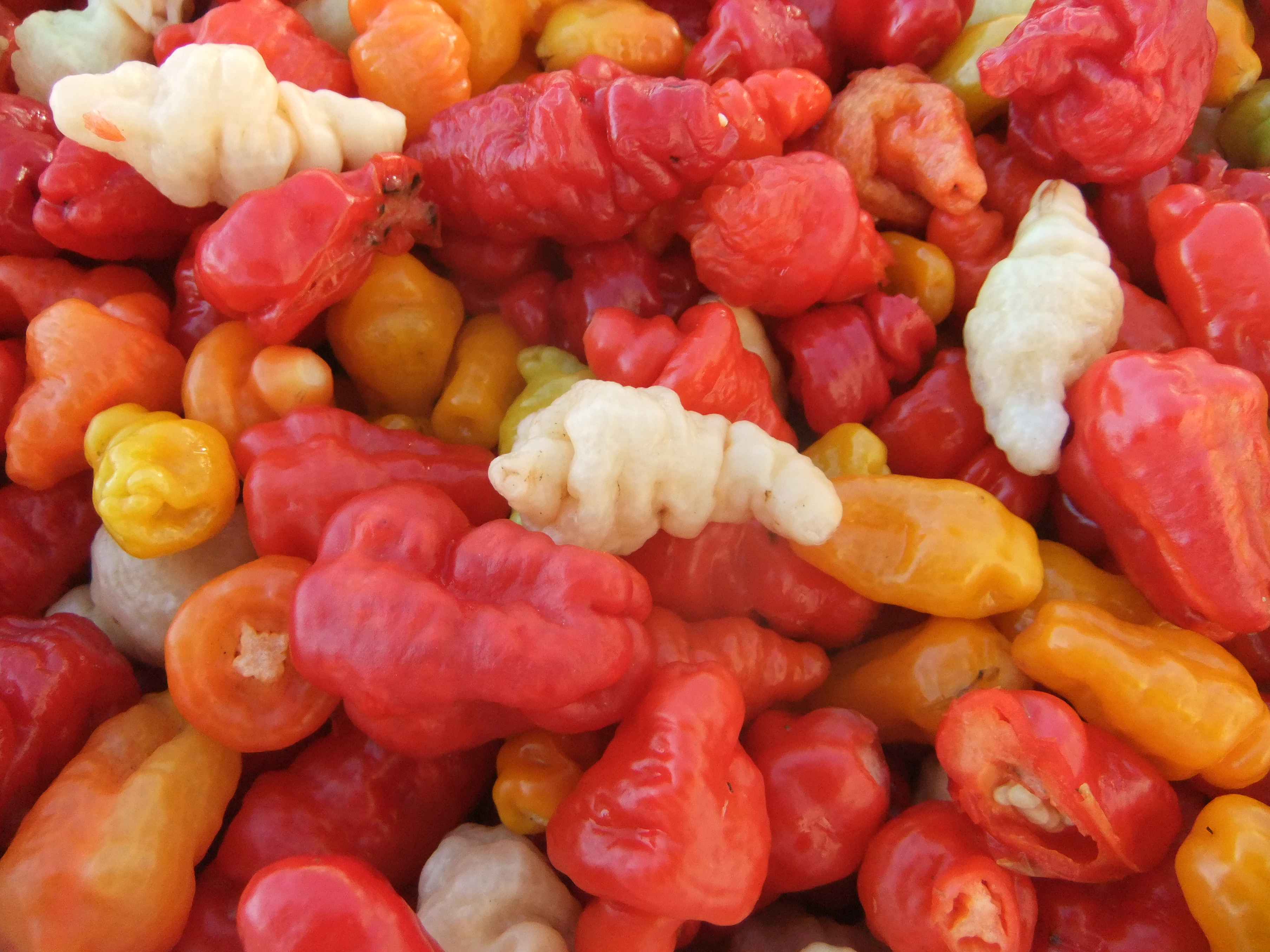FATALI Mix