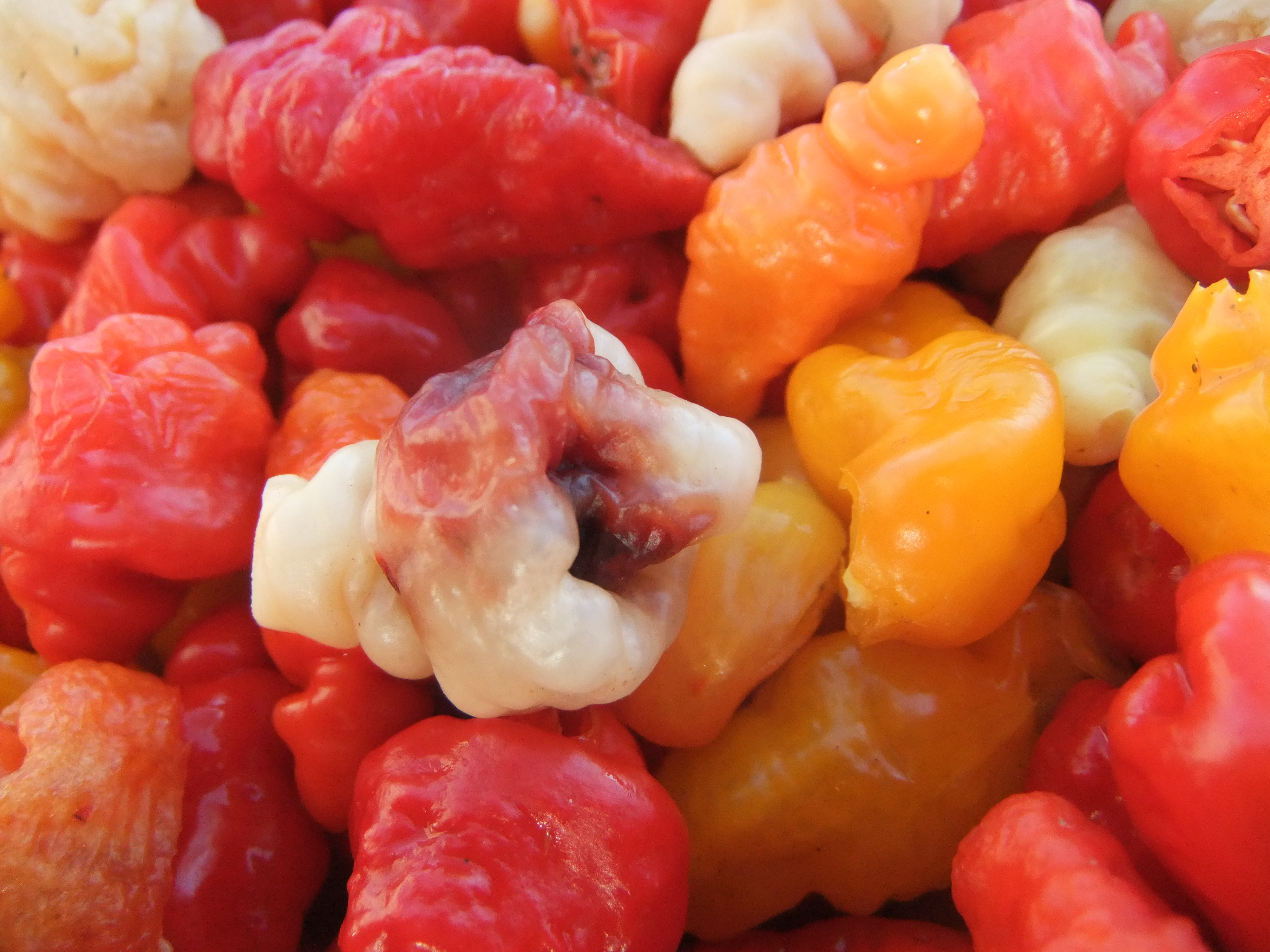 FATALI Mix