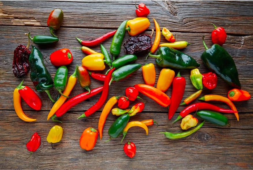 PIQUILLO, PIMIENTO PIQUILLO, PIQUILLO DE LODOSA, PIKILLOKO PIPER