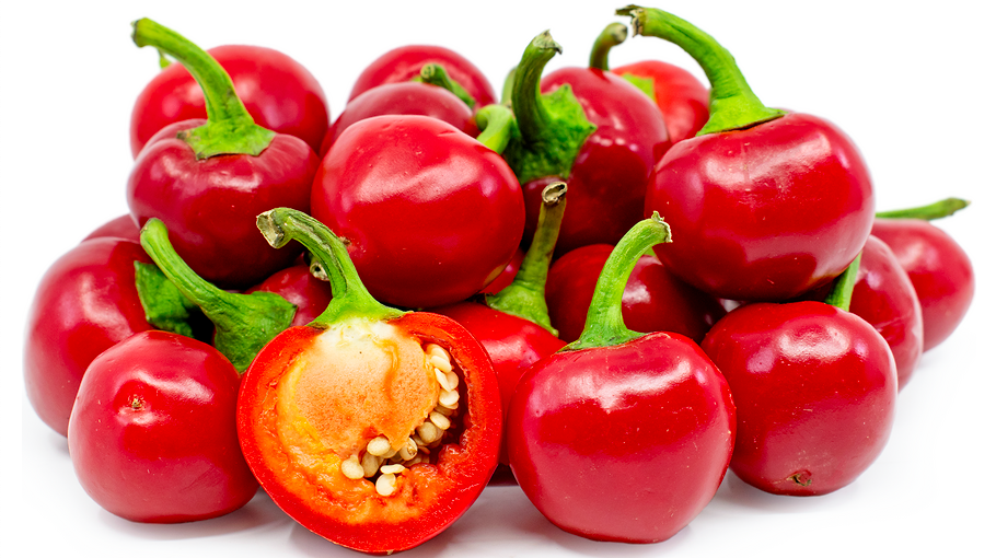RED CHERRY, HUNGARIAN CHERRY, Cerise Rouge, Cerise d'Hongrie