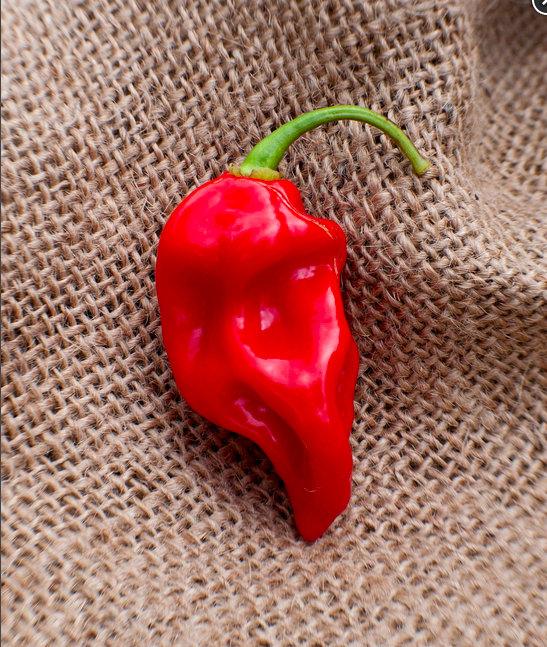 SWEET DATIL, DATIL SWEET