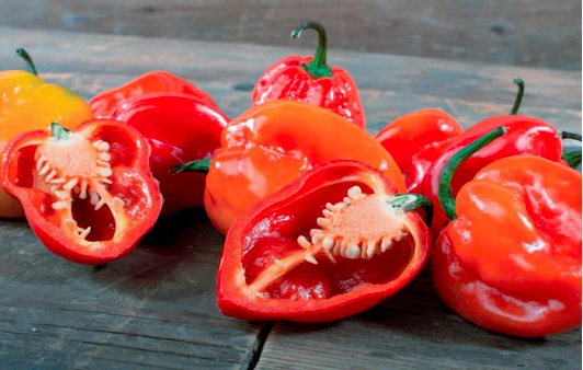 HABANERO Red
