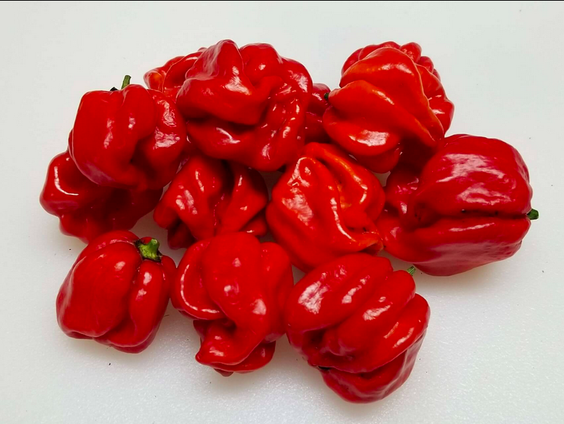 VICENTES SWEET, HABANERO VICENTES SWEET