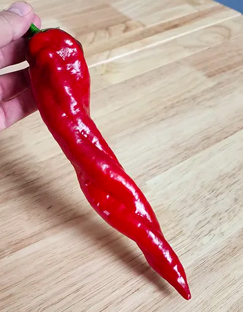 BIG BANG, HANGJIAO 9