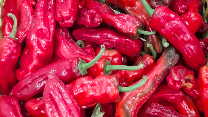 CRISTAL, PIMIENTO CRISTAL