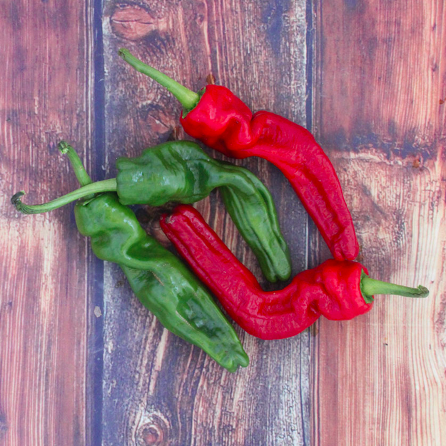 CRISTAL, PIMIENTO CRISTAL