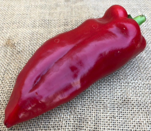 CRVENA ROG AJVAR, Red Horn Ajvar, Ajvar Corne Rouge