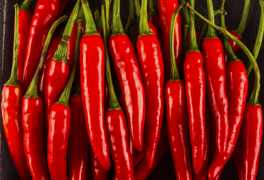 DE CAYENNE, CAYENNE