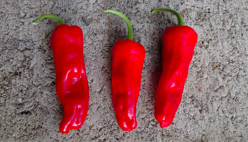 GREEK PEPERONI