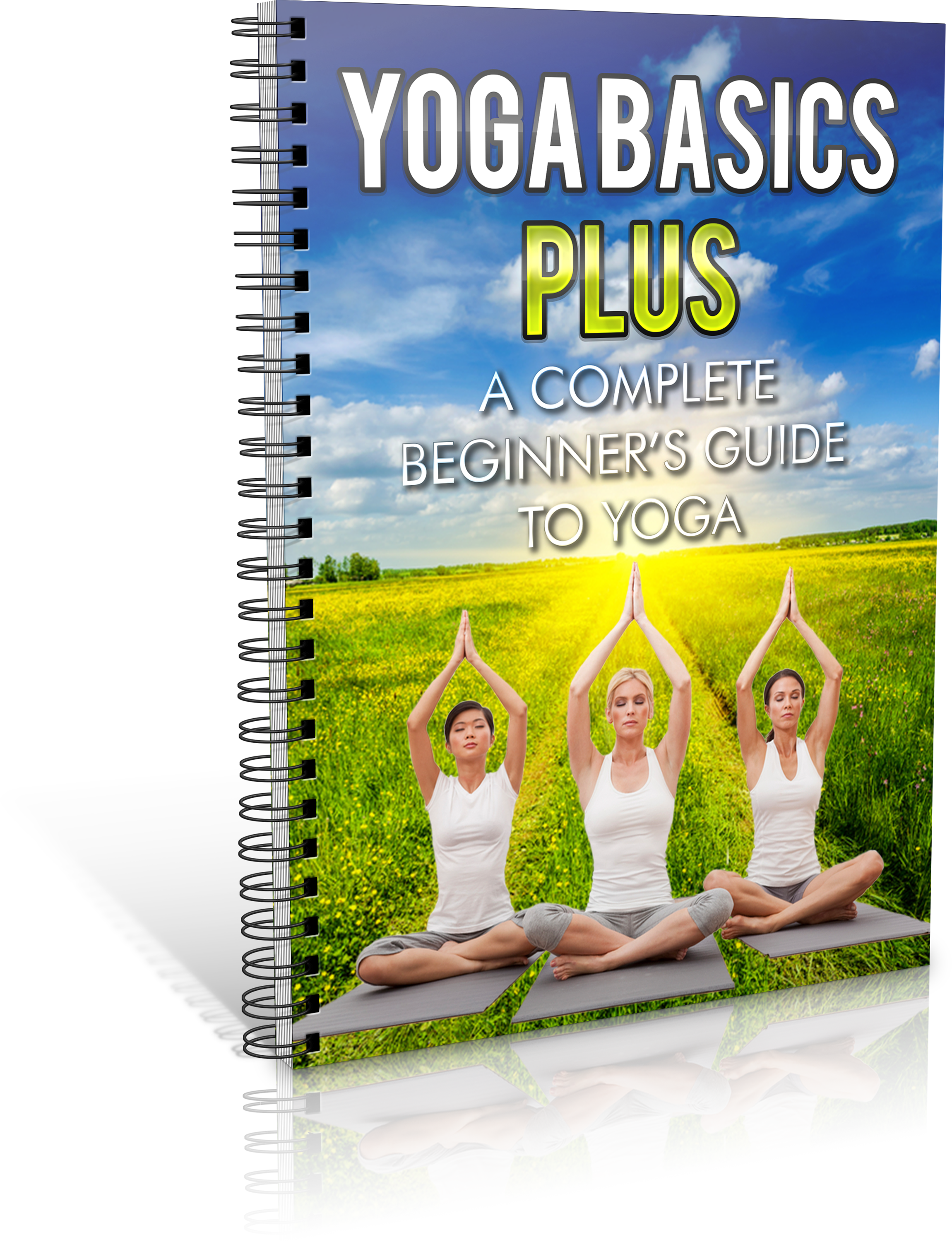 Yoga basics 