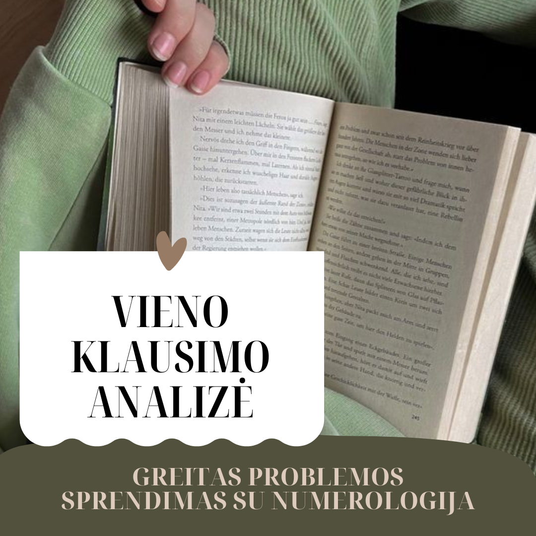 VIENO KLAUSIMO KONSULTACIJA