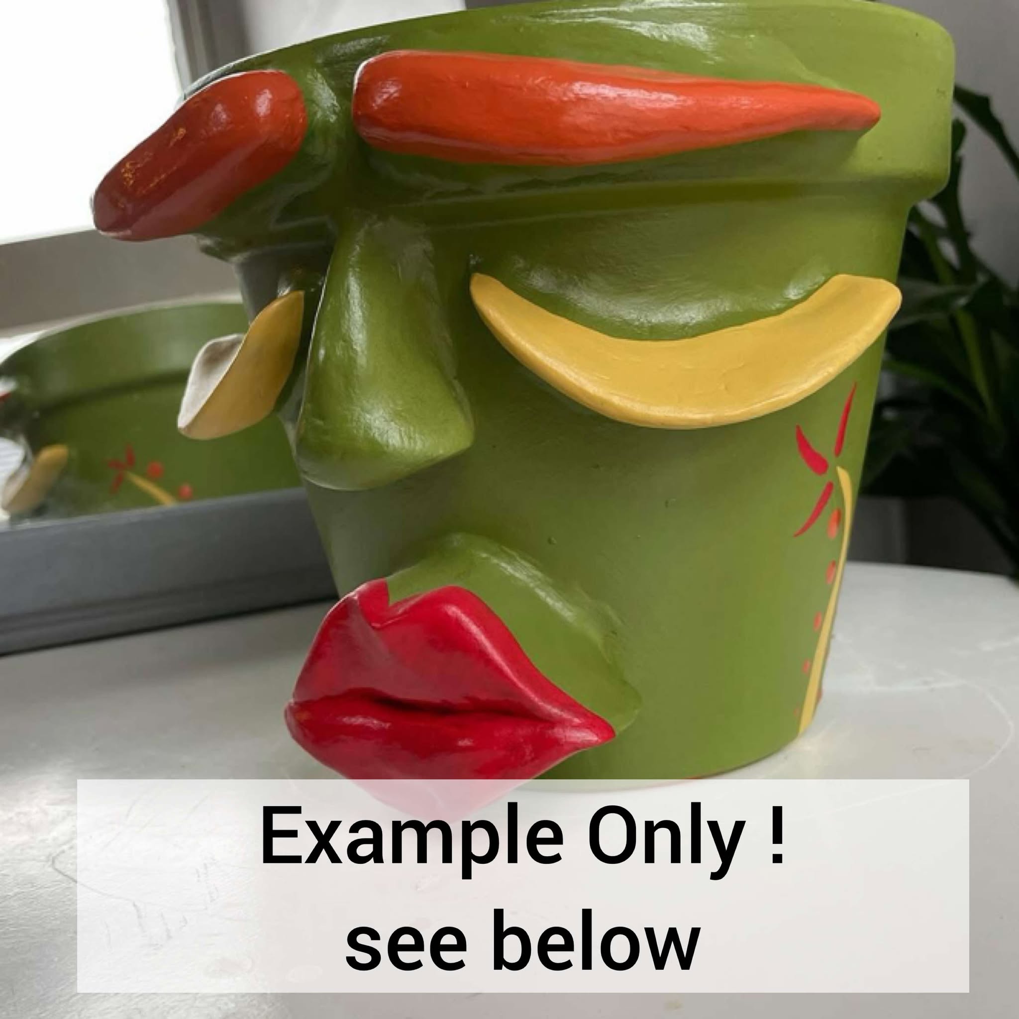 Sad Face Plant Pot - SMALL