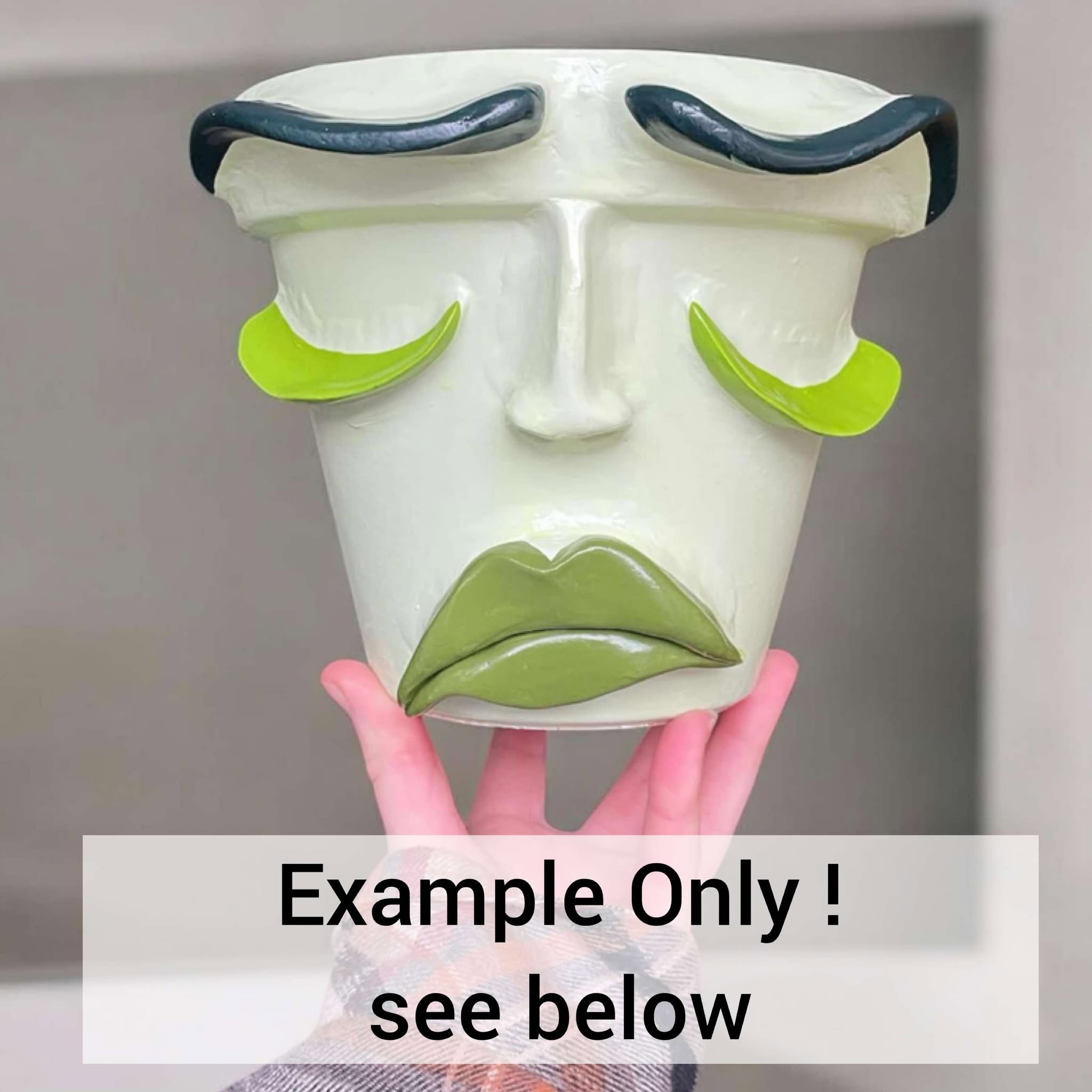 Sad Face Plant Pot - LARGE