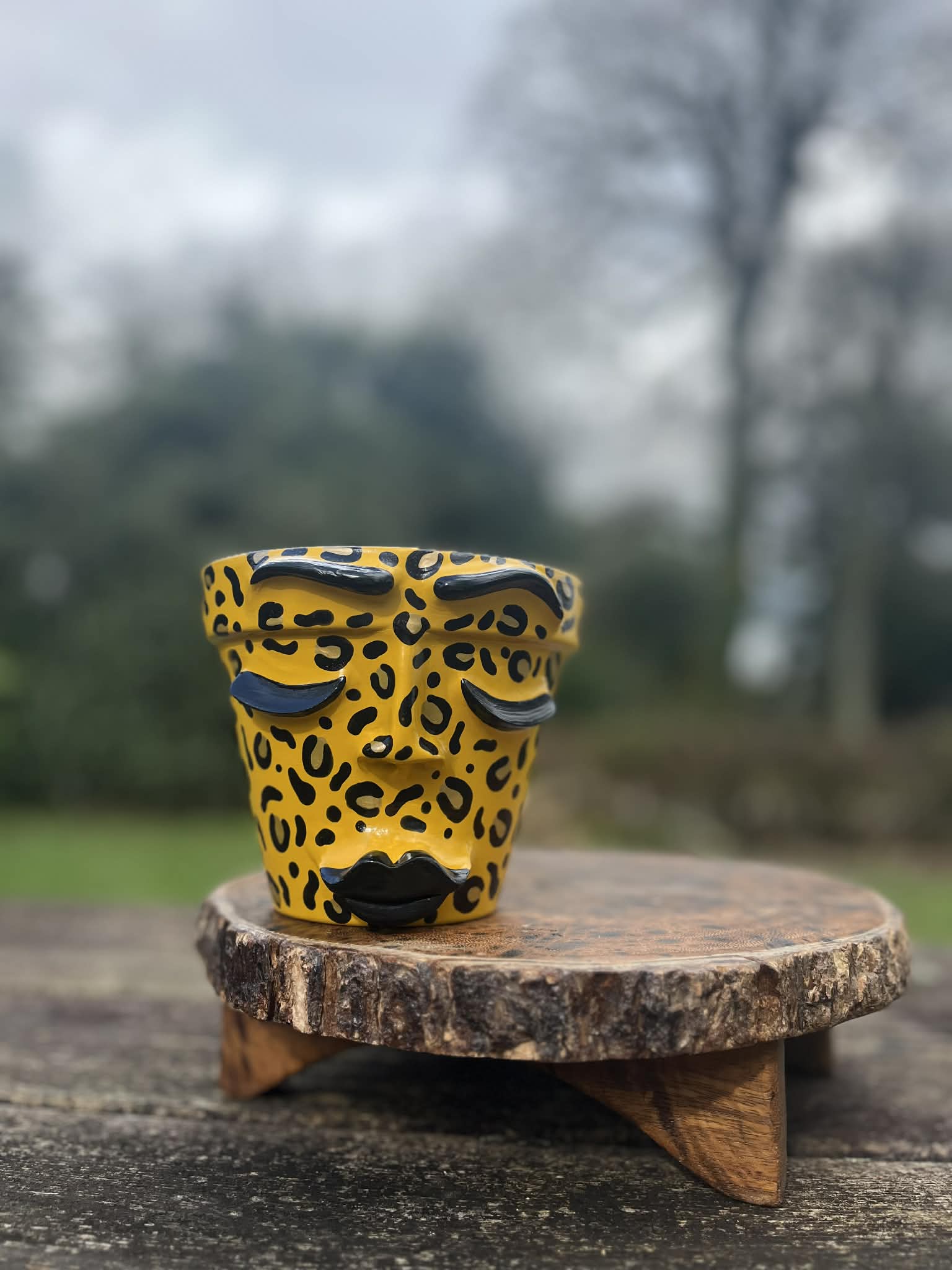 Yellow Leopard Print Face Pot